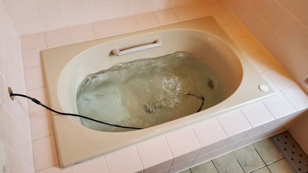 テネモス エネルギーチャージ機 バンブー M : 伊路波いちば Yahoo!店