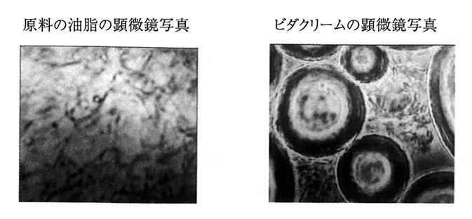 ビダクリームの細胞