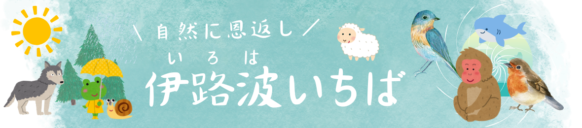 伊路波いちば Yahoo!店 ヘッダー画像