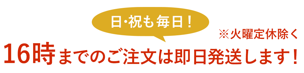 16時までのご注文は即日発送します