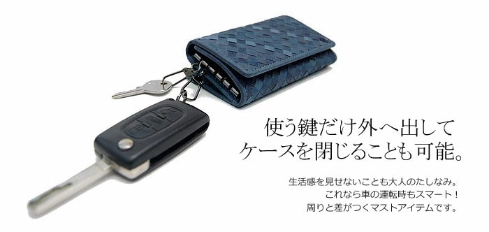 SOLATINA　キーケース　ブラウン 楽天市場】【プレケア特典】【1年保証】 Wクーポン付き ソラチナ