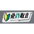 免許取立 一般(言葉)[656]