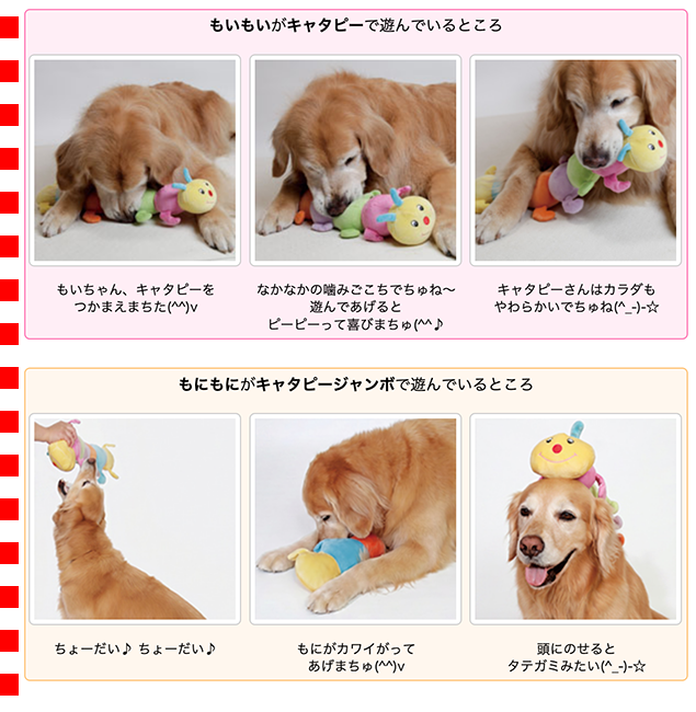キャタピー（62622） : 大型犬用品専門店 アイアンバロン - 通販