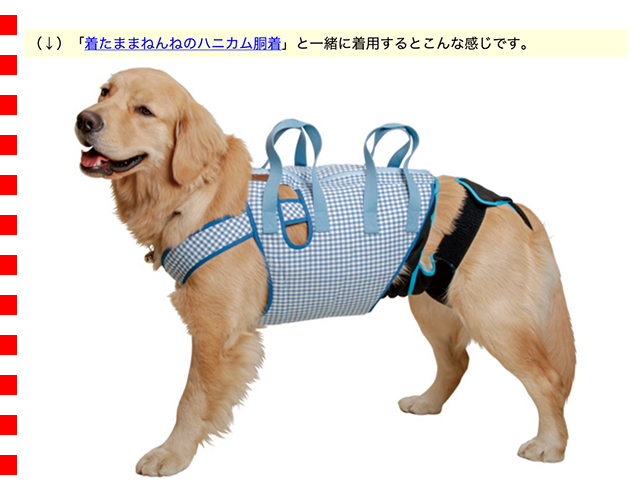 大型犬用）マナーホルダー 介護用 3Lサイズ（64065） : 19mnholder : 大型犬用品専門店 アイアンバロン - 通販 -  Yahoo!ショッピング