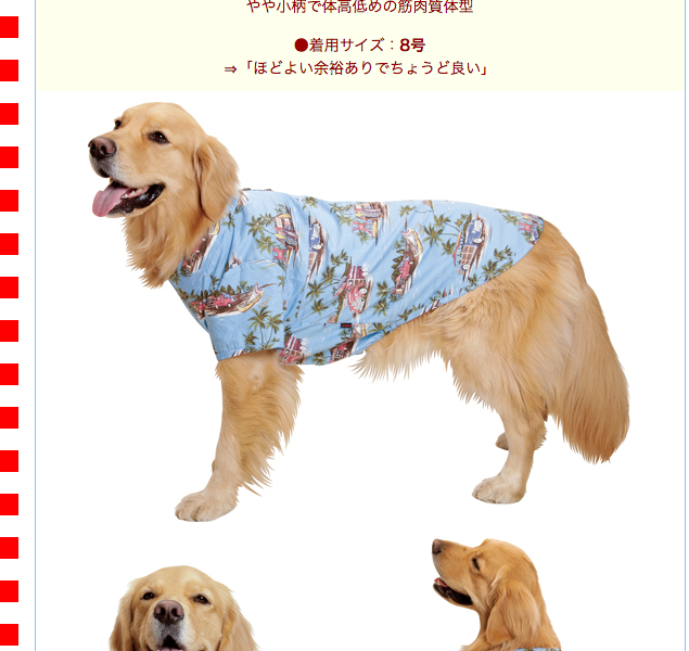 直営ストア 大型犬 夏さわやか アロハtシャツ ハワイ タンク ハイビスカス オールシーズン ライムグリーン色 部屋着 8号サイズ Lacistitis Es
