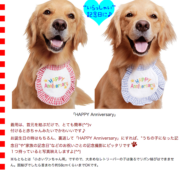 ハッピースタイ（犬用） : 大型犬用品専門店 アイアンバロン - 通販