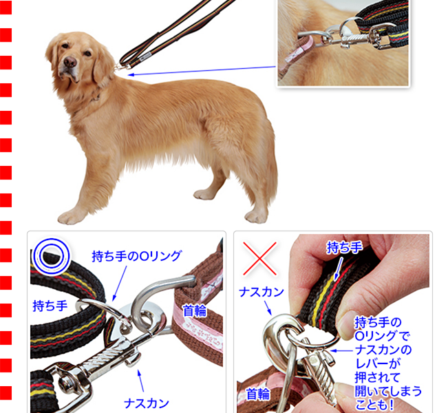 「りのすけページ・大型犬用リード」 GLOPET 大型犬用マルチリード : EFGショップYahoo!店 - 通販