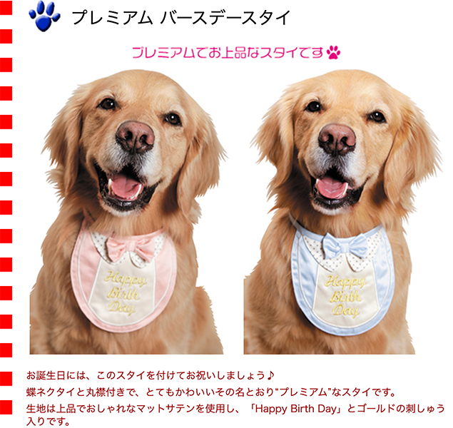 プレミアム バースデースタイ : 大型犬用品専門店 アイアンバロン
