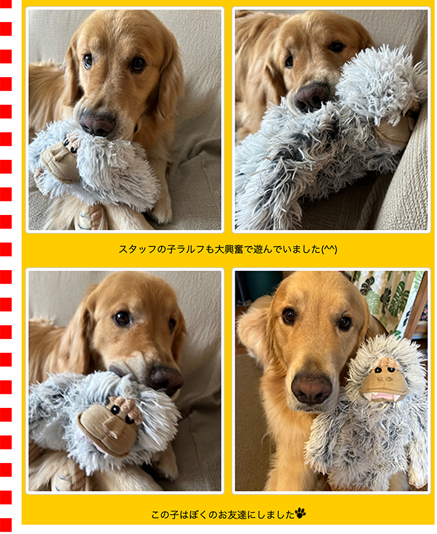 ビッグフット（犬のおもちゃ）（63367） : 大型犬用品専門店 アイアン