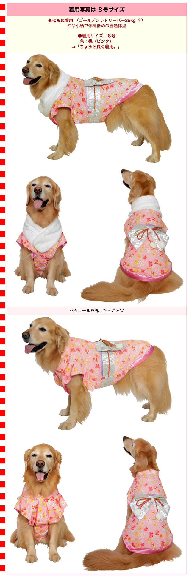 大型犬用8号）晴れ着【桃】 : 大型犬用品専門店 アイアンバロン - 通販