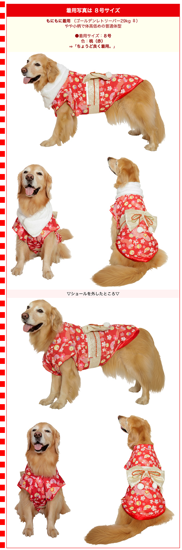 大型犬用9号）晴れ着【桃】 : 大型犬用品専門店 アイアンバロン - 通販