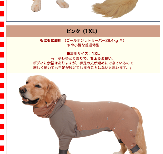 1XL・大型犬用）《アルファアイコン》 ドッグガードクール（2022 