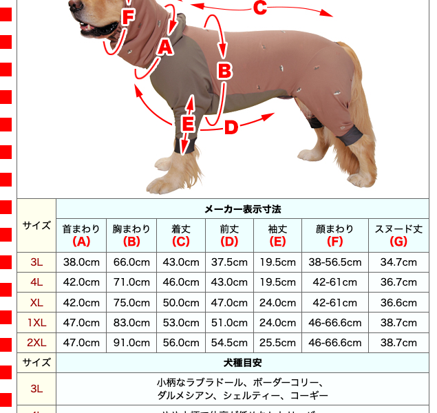 （3L・中型犬用）《アルファアイコン》 ドッグガードクール（2022 