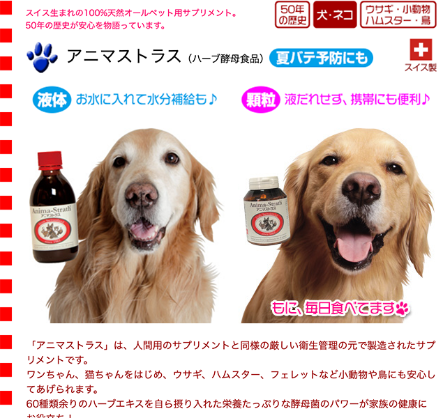 アニマストラス アニマストラス【液体】250ml（ハーブ酵母食品 ANIMA