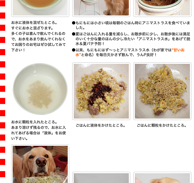 アニマストラス アニマストラス【顆粒】100g（ハーブ酵母食品 ANIMA