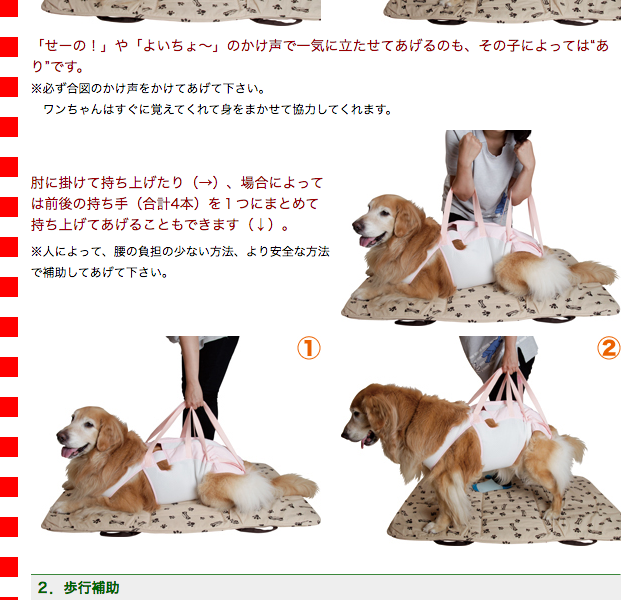 大型犬用介護用品 後脚付 着たままねんねのハニカムつなぎ Asbpb アイアンバロンyahoo 店 通販 Yahoo ショッピング