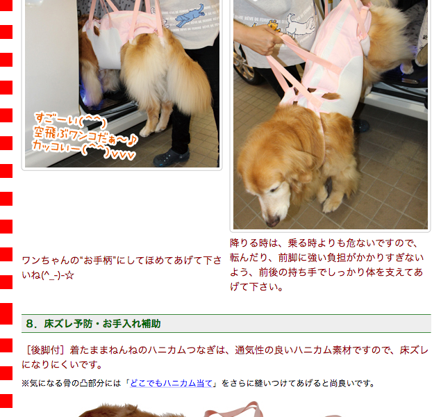 大型犬用介護用品）後脚付 着たままねんねのハニカムつなぎ : asbpb