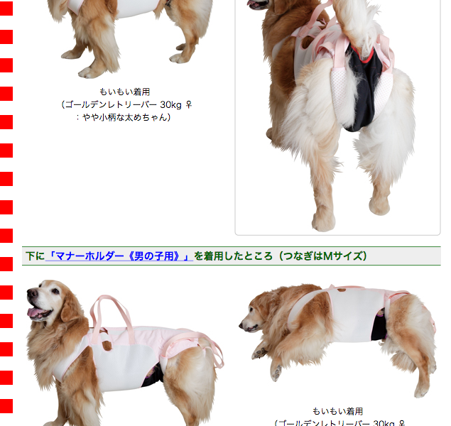 大型犬用介護用品）後脚付 着たままねんねのハニカムつなぎ : asbpb