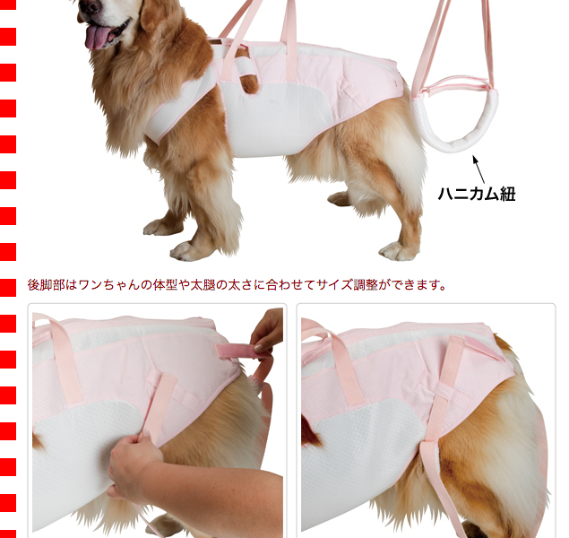 大型犬用介護用品）後脚付 着たままねんねのハニカムつなぎ : asbpb