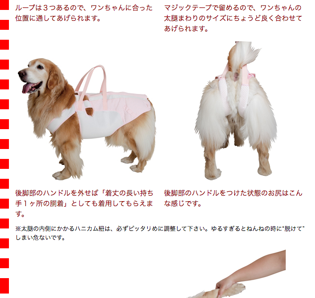 完売 大型犬用介護用品 後脚付 着たままねんねのハニカムつなぎ お気にいる Ihmc21 Com