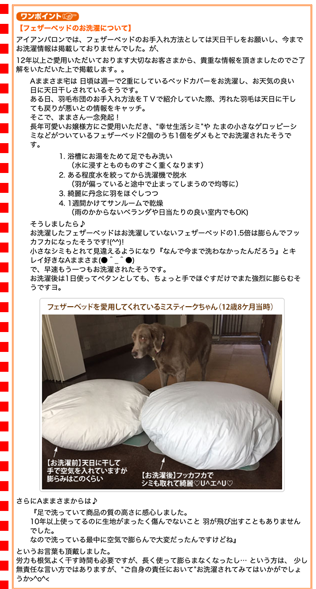 大型犬用ベッド・L）アイアンバロンオリジナル フェザーベッド L