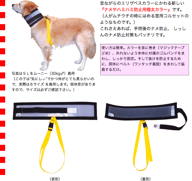 バイトノットカラー 7号サイズ バイトノットカラー 7号サイズ（51273） : 大型犬用品専門店 アイアン