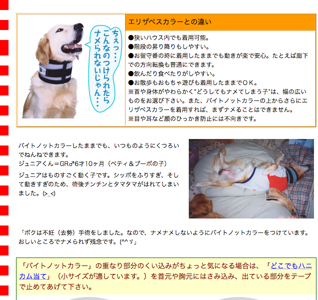 バイトノットカラー 7号サイズ バイトノットカラー 7号サイズ（51273） : 大型犬用品専門店 アイアン