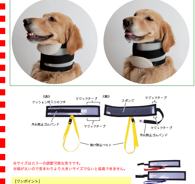 バイトノットカラー 7号サイズ（51273） : 大型犬用品専門店 アイアン