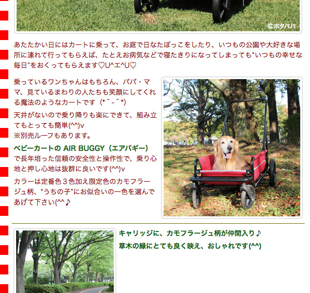 AIRBUGGY（エアバギー） （大型犬用介護用品）エアバギー キャリッジ