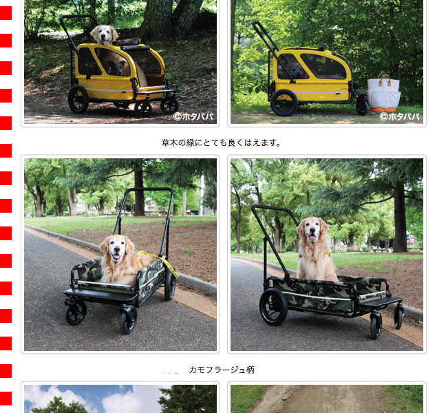AIRBUGGY (大型犬用介護用品)エアバギー キャリッジ 本体+ AIRBUGGY (大型犬用介護用品)エアバギー キャリッジ 本体+