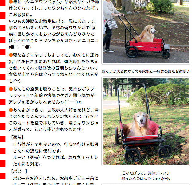 AIRBUGGY（エアバギー） （大型犬用介護用品）エアバギー キャリッジ