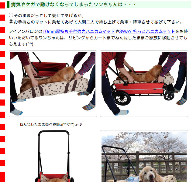 大型犬用介護用品）エアバギー キャリッジ 本体＋ルーフセット ペット