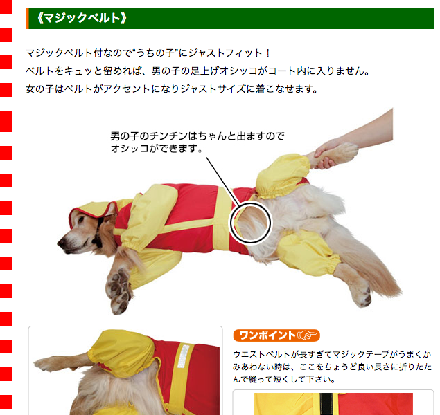 大型犬用レインコート 超はっ水・安全コート アイスブルー×水色 : 大型