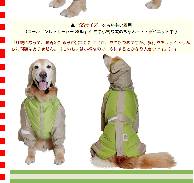 大型犬用レインコート 超はっ水・安全コート フレッシュグリーン
