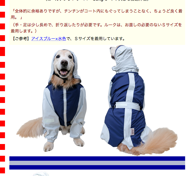 大型犬用レインコート 超はっ水・安全コート ネイビー×ライトグレー