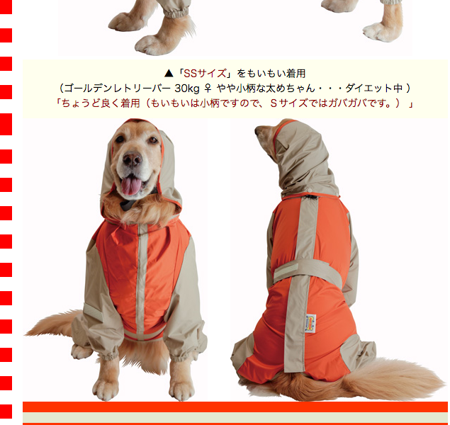 大型犬用レインコート 超はっ水・安全コート オレンジ×ベージュ : 大型