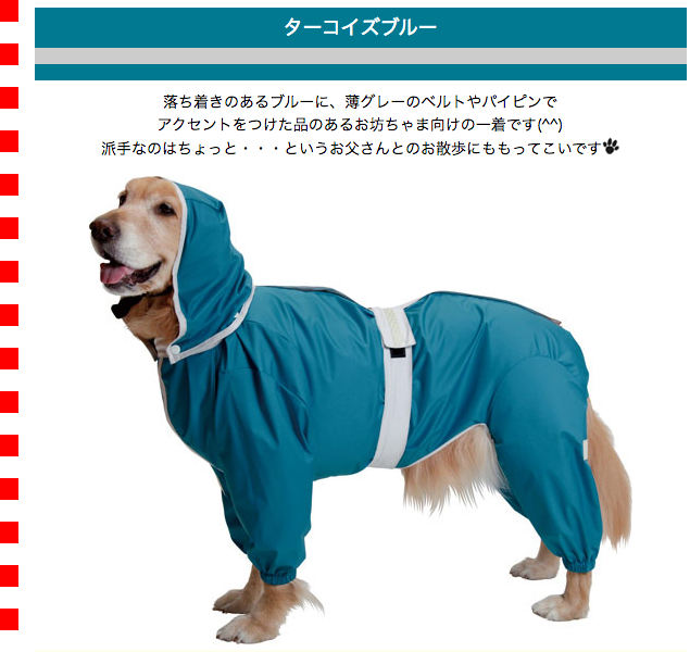 大型犬用レインコート 超はっ水・安全コート ターコイズブルー : 大型
