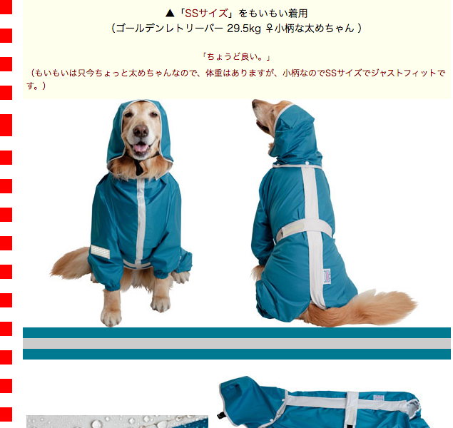 大型犬用レインコート 超はっ水・安全コート ターコイズブルー : 大型