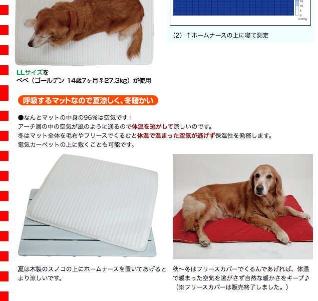 犬用介護用品）ホームナース（高機能リラックスマット）M（62264