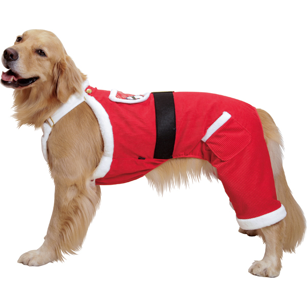 大型犬用9号）晴れ着【桃】 : 大型犬用品専門店 アイアンバロン - 通販