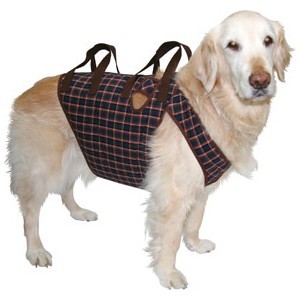 大型犬用品専門店 アイアンバロン - Yahoo!ショッピング