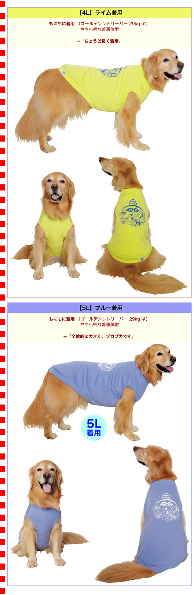 MANDARINE BROTHERS（マンダリンブラザーズ） （大型犬用）Chi-bee
