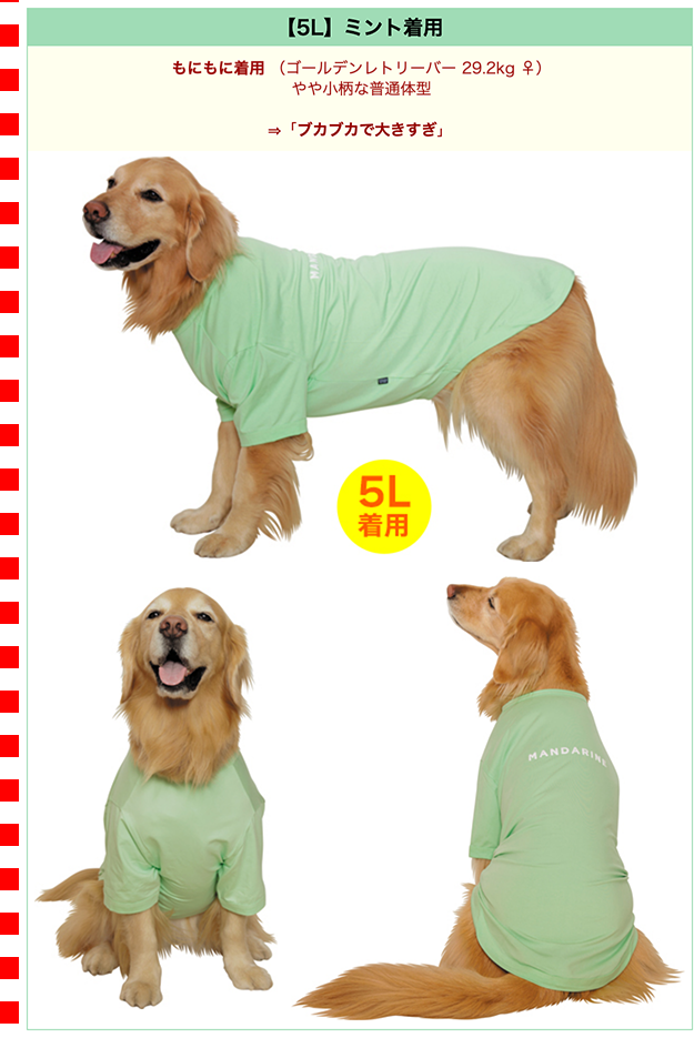 MANDARINE BROTHERS（マンダリンブラザーズ） 【OUTLET】クール