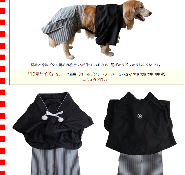 羽織袴 紋付袴 大型犬用10号サイズ Monhaka14 10 アイアンバロンyahoo 店 通販 Yahoo ショッピング