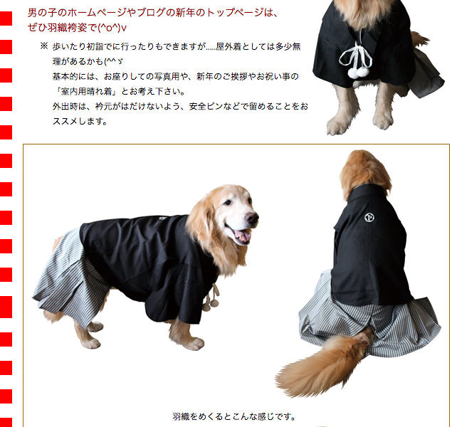 犬用の袴 (2longサイズ) その他 ペット用品 ansoumanadione.com