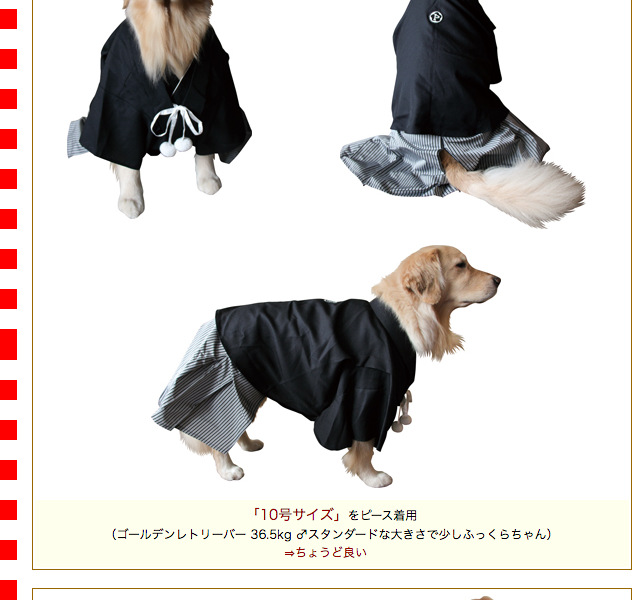 犬服　羽織袴　8号　中大型犬 羽織袴（紋付袴）大型犬用8号サイズ（60240） : 大型犬用品専門店