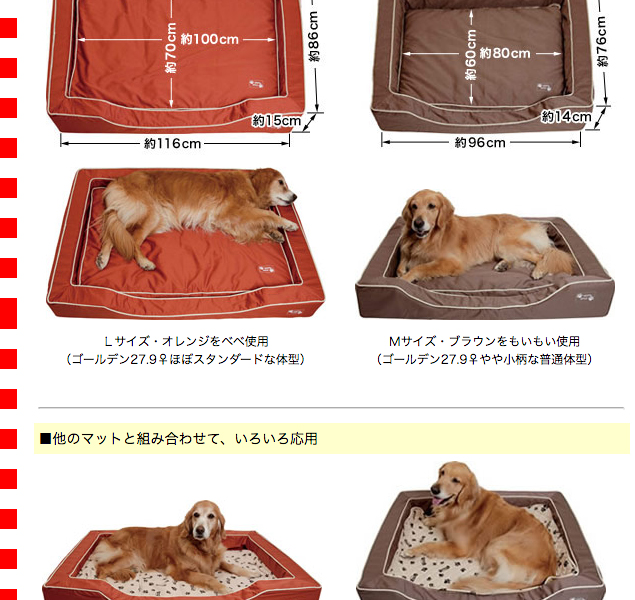 大型犬用ベッド）PEPPY 抗菌防臭スマートスクエアベッド Mサイズ