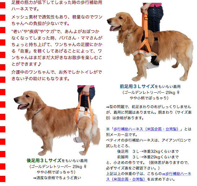 大型犬用介護用品）PETIO 歩行補助ハーネス 前足用・2L（62380