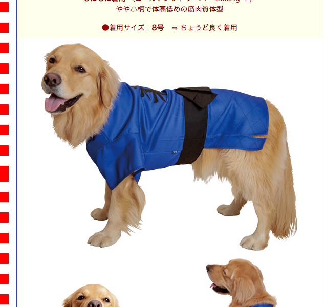OUTLET】（大型犬用・8号）柔道着 : 大型犬用品専門店 アイアンバロン