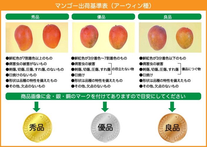 訳ありミニマンゴー1.5kg : 石崎ファーム - 通販 - Yahoo